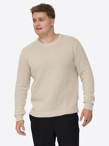 Dxnmxrk Sweater 'DXFae' in Grey: front