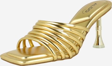 ALDO Mules 'HARPA' in Gold: front