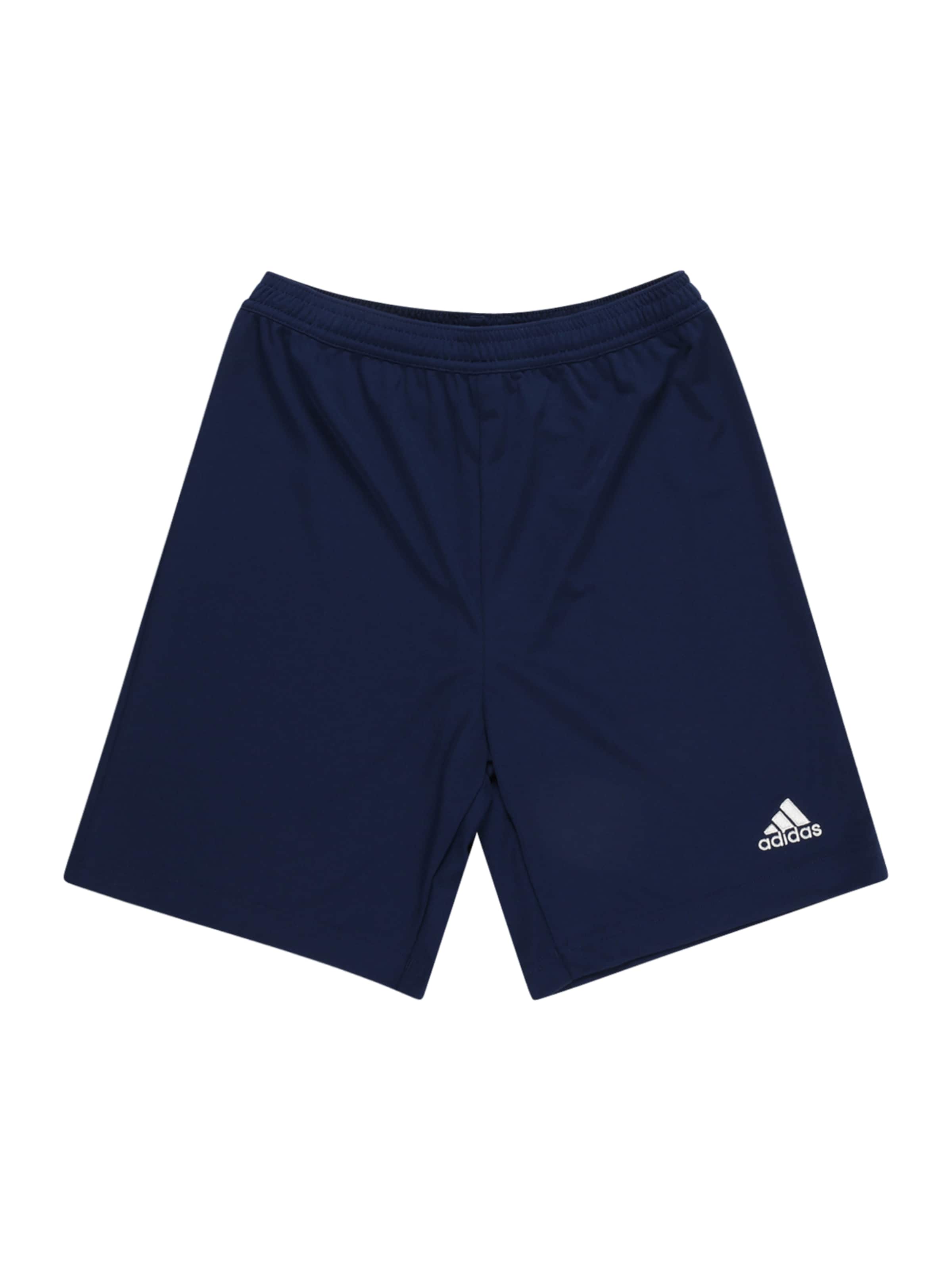 ADIDAS PERFORMANCE Regular Sportshorts 'Entrada 22' in Blau: Vorderseite