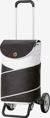 Andersen Shopper Trolley in Grijs: voorkant