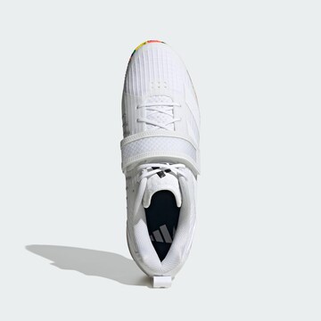 Chaussure de sport ADIDAS PERFORMANCE en blanc