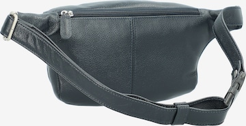 Picard Fanny Pack 'Luis' in Blue