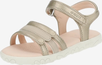 GEOX Sandalen in Goud: voorkant