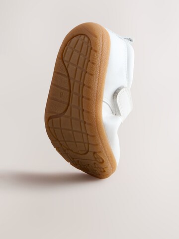 Next Ballerina's in Wit