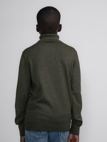 Petrol Industries Sweater 'Wasilla' in Green