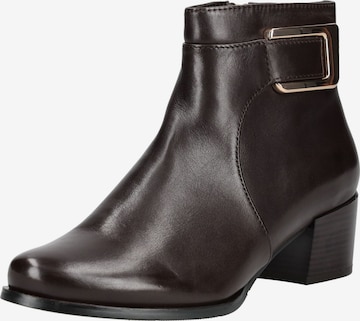 Bottines Regarde le Ciel en marron : devant