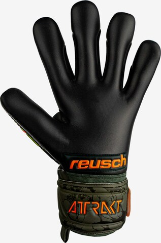 REUSCH Athletic Gloves 'Attrakt Grip Evolution' in Orange