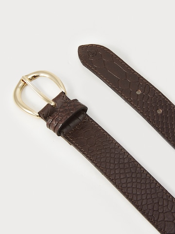 Tamaris - Cintos em castanho