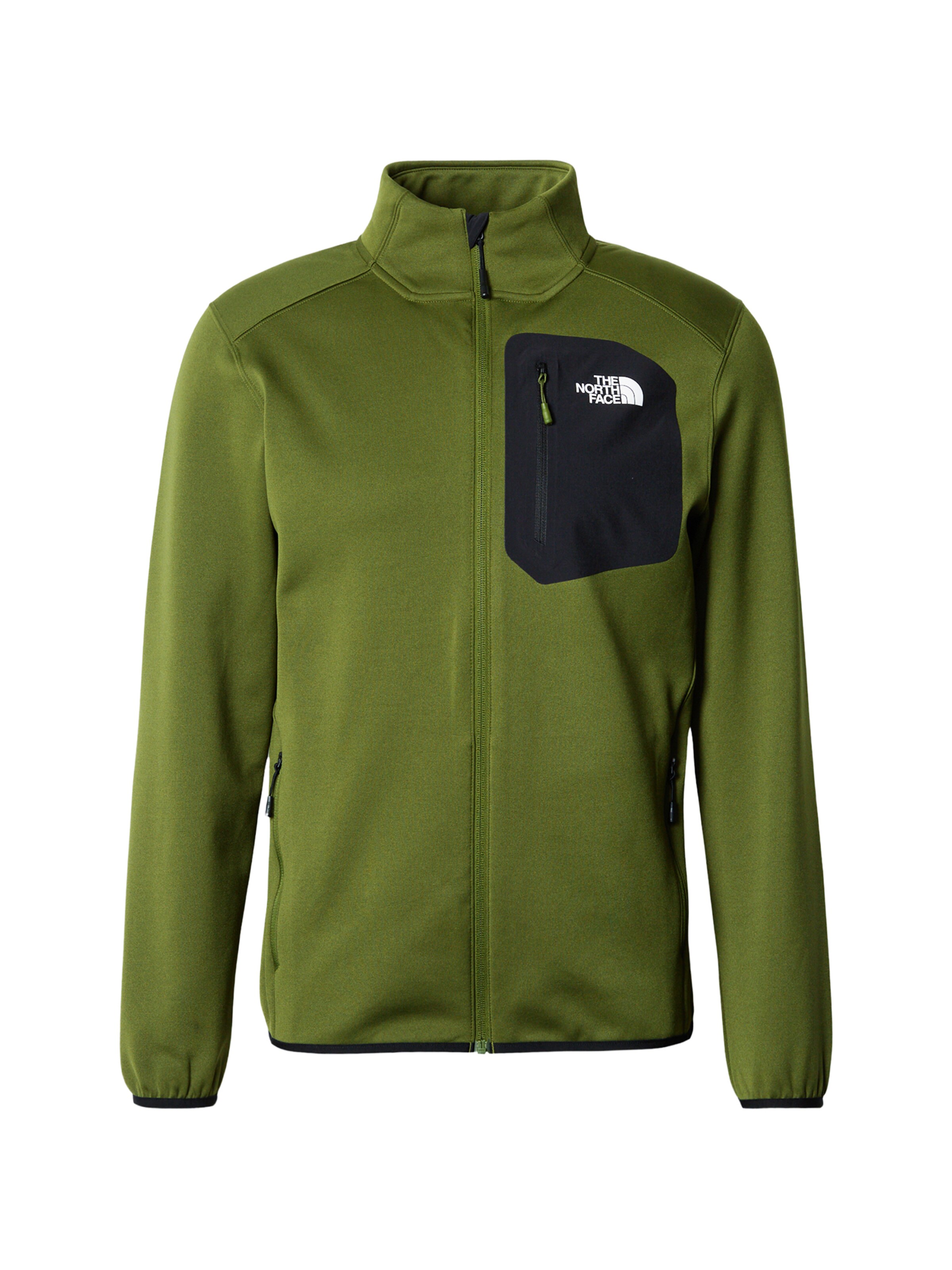 THE NORTH FACE Funktionsfleecejacke in Grün: Vorderseite