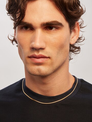 Breil Kette 'Holt' in Gold: Vorderseite