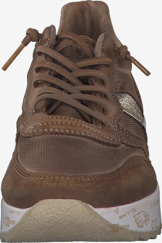 Cetti Sneakers 'C847 SRA' in Brown