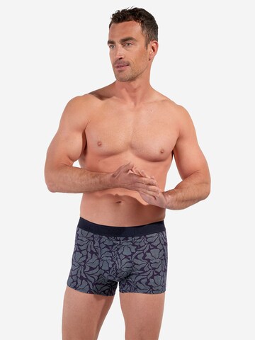 HOM Boxer shorts ' HO1 Long Island ' in Blue: front