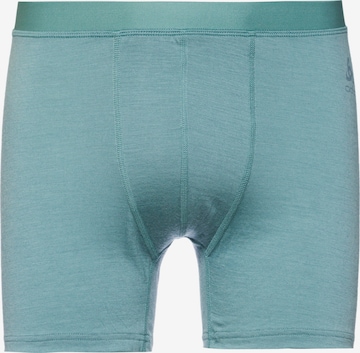 ODLO Athletic Underwear 'MERINO 160' in Green: front