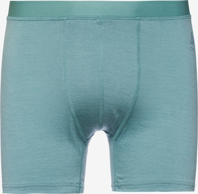 ODLO Athletic Underwear 'MERINO 160' in Stone / Jade, Item view