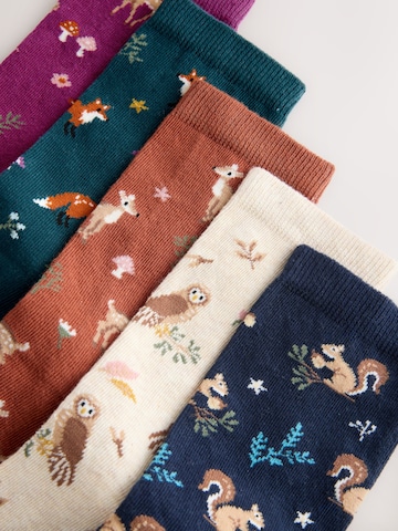 Next Socks in Mixed colours