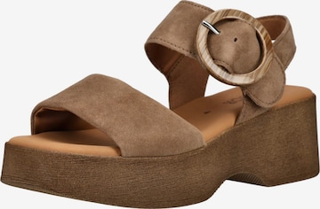Sandales GABOR en marron : devant