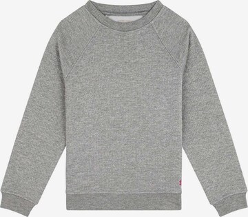 Sweat-shirt Scalpers en gris : devant