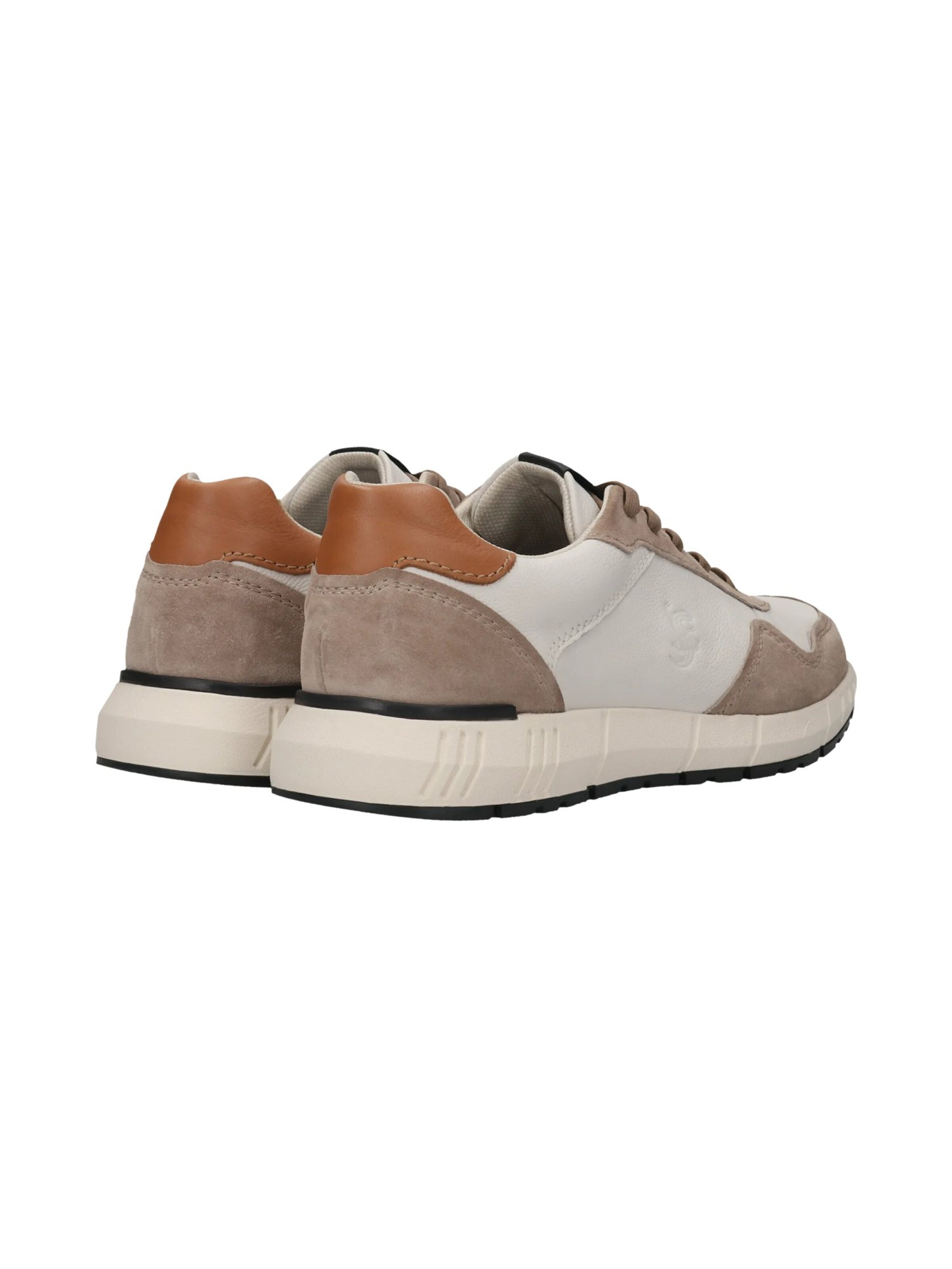 SALAMANDER Sneakers in Beige