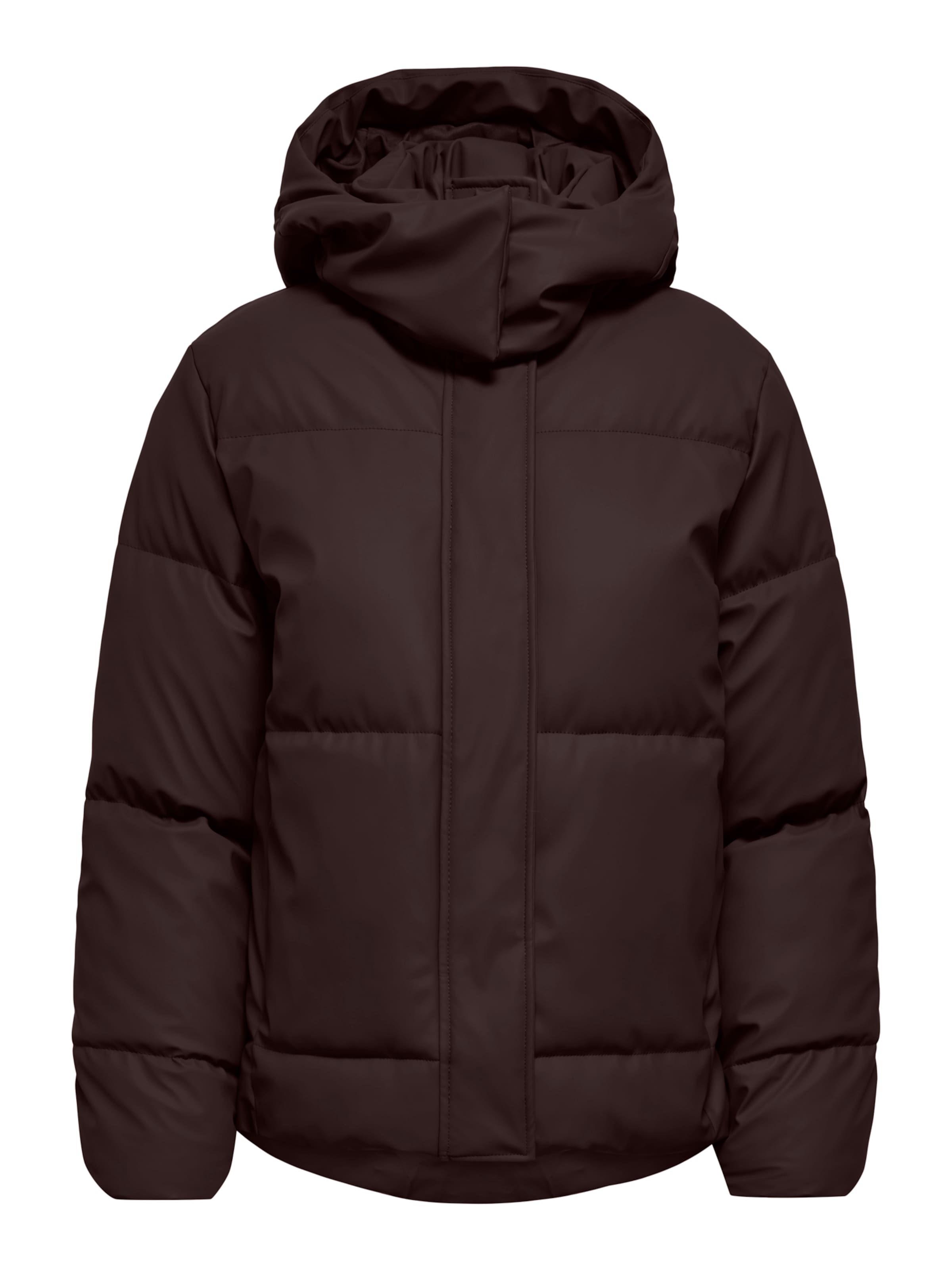 ONLY Winter Jacket 'ONLAGNES' in Brown: front