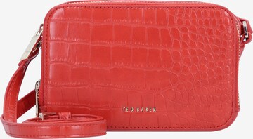 Ted Baker Crossbody Bag 'Stina' in Brown: front