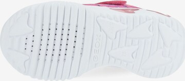 Sneaker di GEOX in rosa