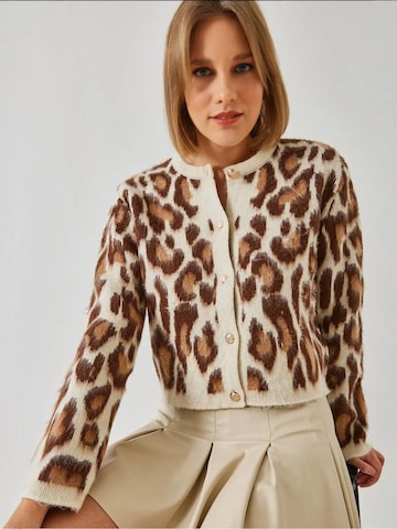 Bianco Lucci Knit Cardigan in Beige: front