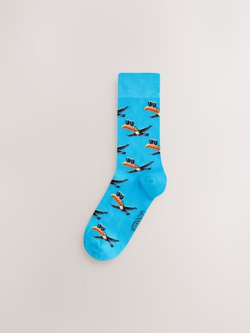 Chaussettes Next en bleu