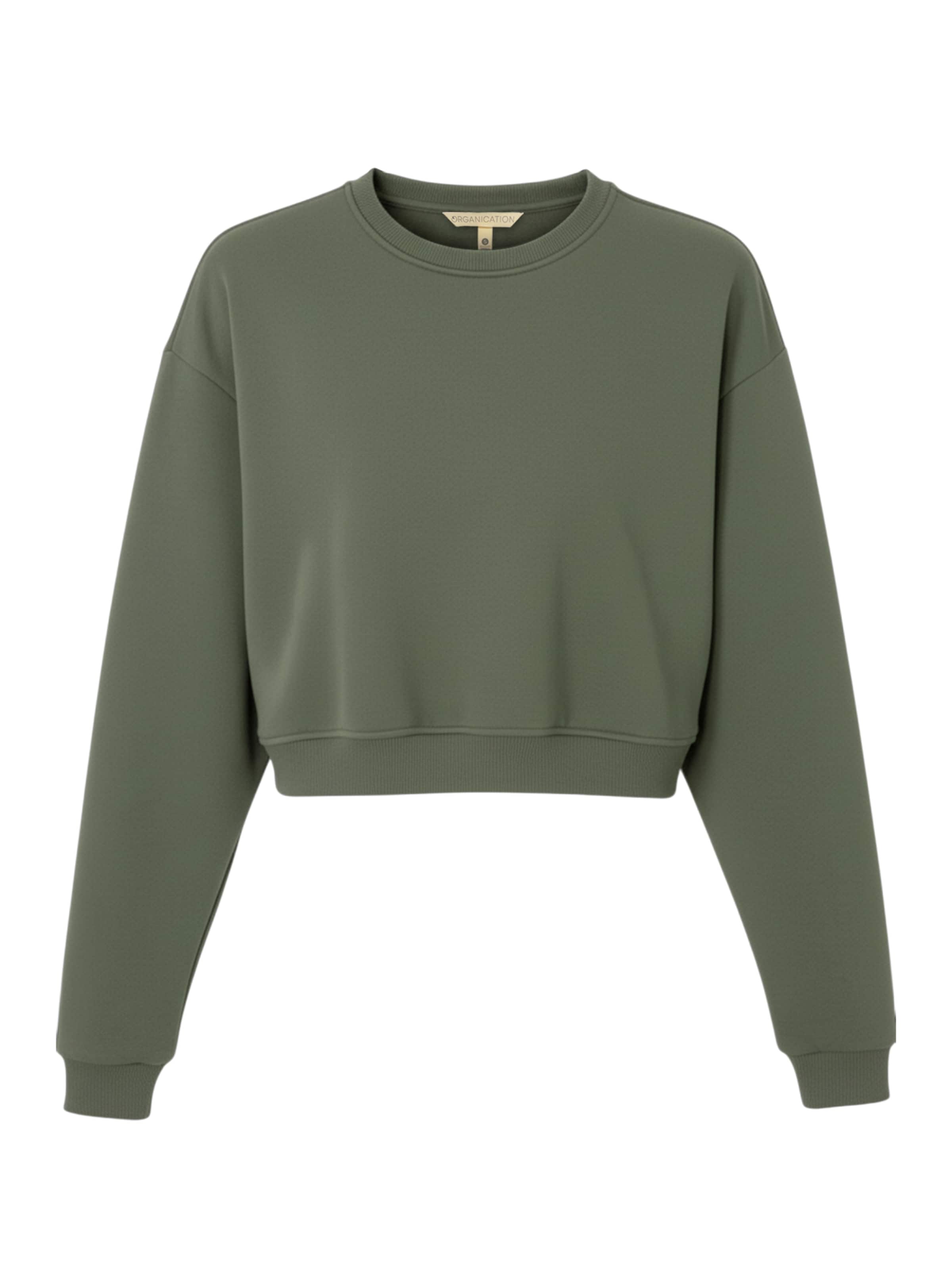 Organication Sweatshirt in Green: front