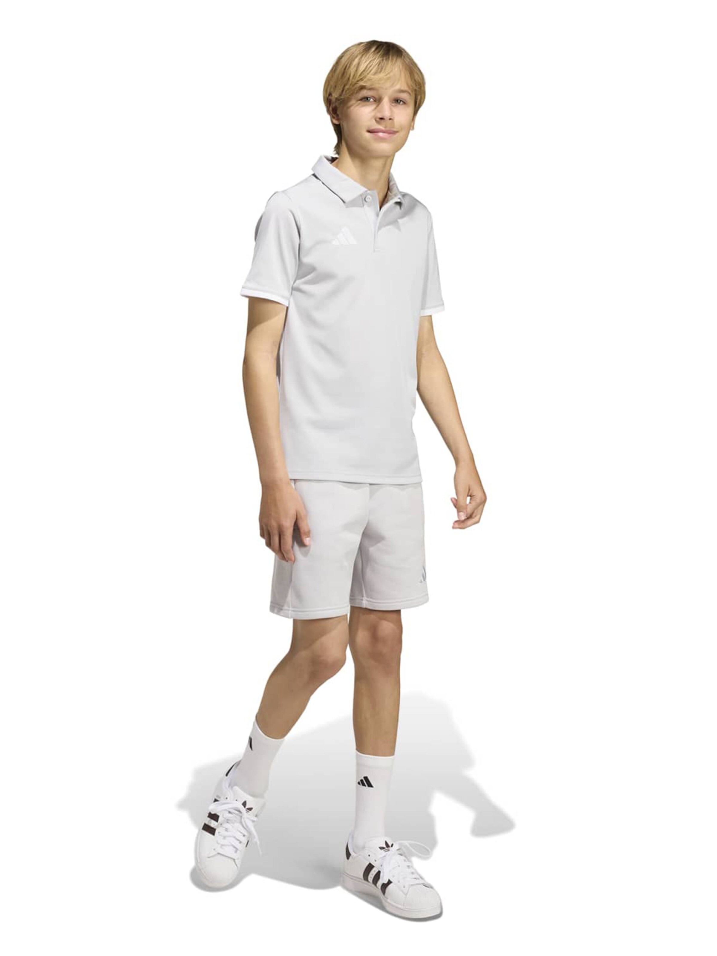 ADIDAS PERFORMANCE Toiminnallinen paita 'ENT26' värissä harmaa