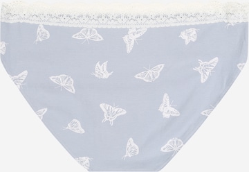 Abercrombie & Fitch Underpants in Blue
