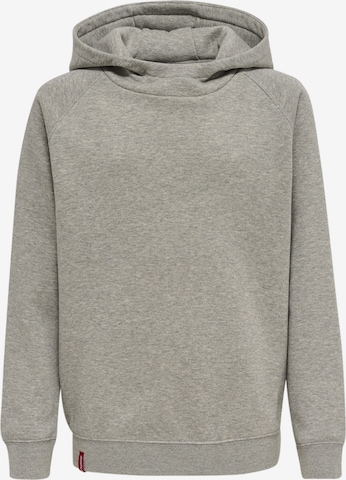 Hummel Sweatshirt in Grijs: voorkant