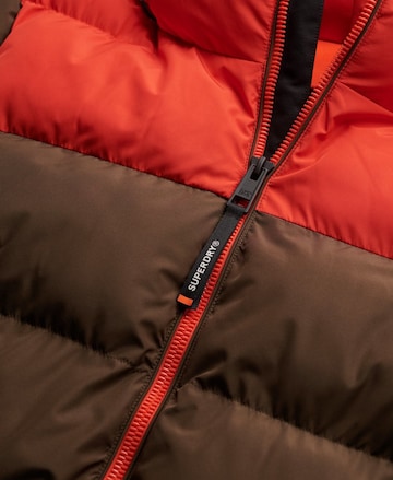 Veste mi-saison Superdry en marron