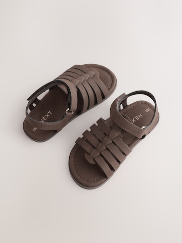 Sandalo di Next in marrone