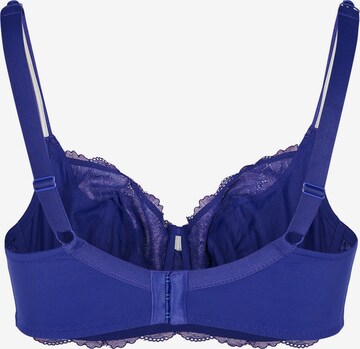 Devoted by Zizzi T-shirt Bra in Purple