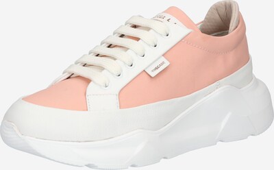 Greyderlab Sneaker in pfirsich / weiß, Produktansicht
