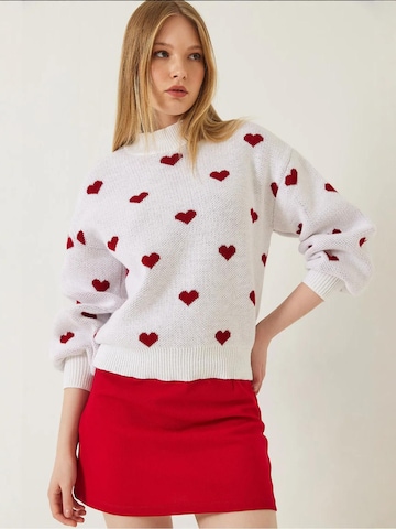 Bianco Lucci Pulover 'Pullover' | mešane barve barva
