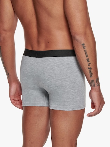 Adam Boxershorts '3er Pack'‌ in Grau