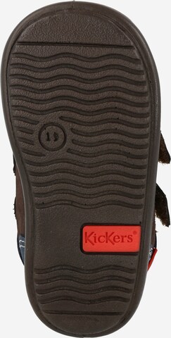 Kickers First-step shoe in Brown