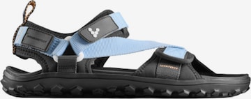 Vivo Barefoot Sandaalit 'TRACKER ORA' värissä sininen: etupuoli