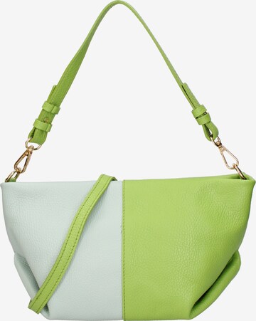 Roberta Rossi Shoulder Bag in Green: front