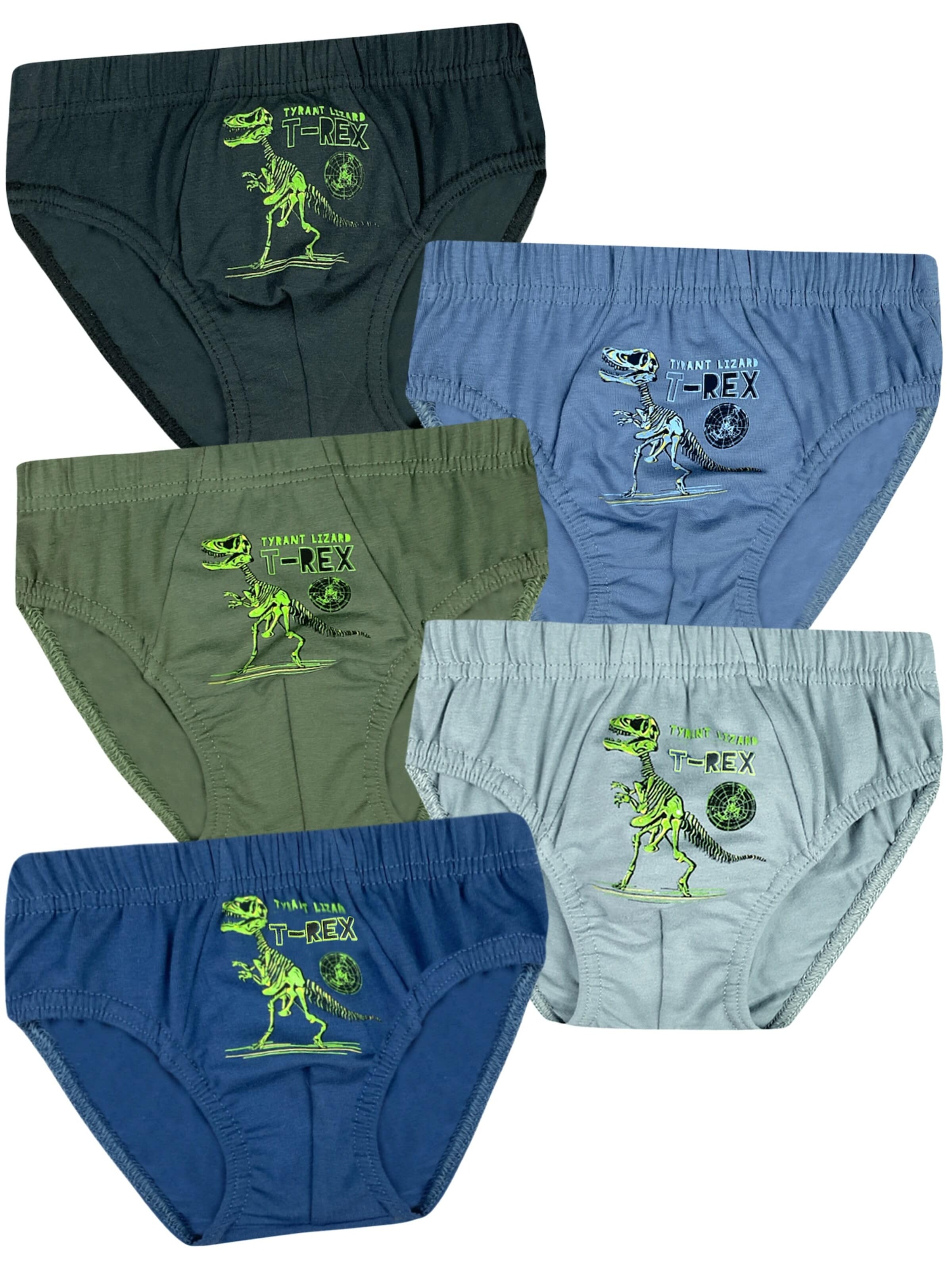 LOREZA Unterhose 'Jungen Slips T-Rex'‌‌‌‌‌‌‌‌‌ in Mischfarben: Vorderseite