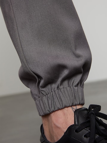Tapered Pantaloni di DAN FOX APPAREL in grigio
