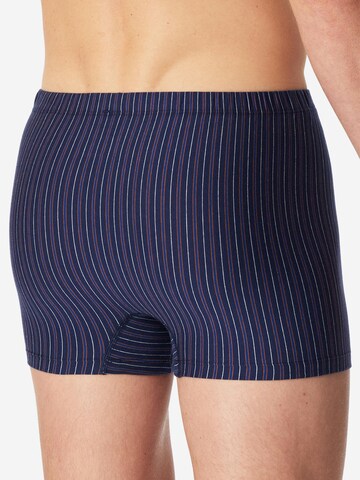 SCHIESSER Boxer shorts '95/5 Essentials - Cotton' in Black