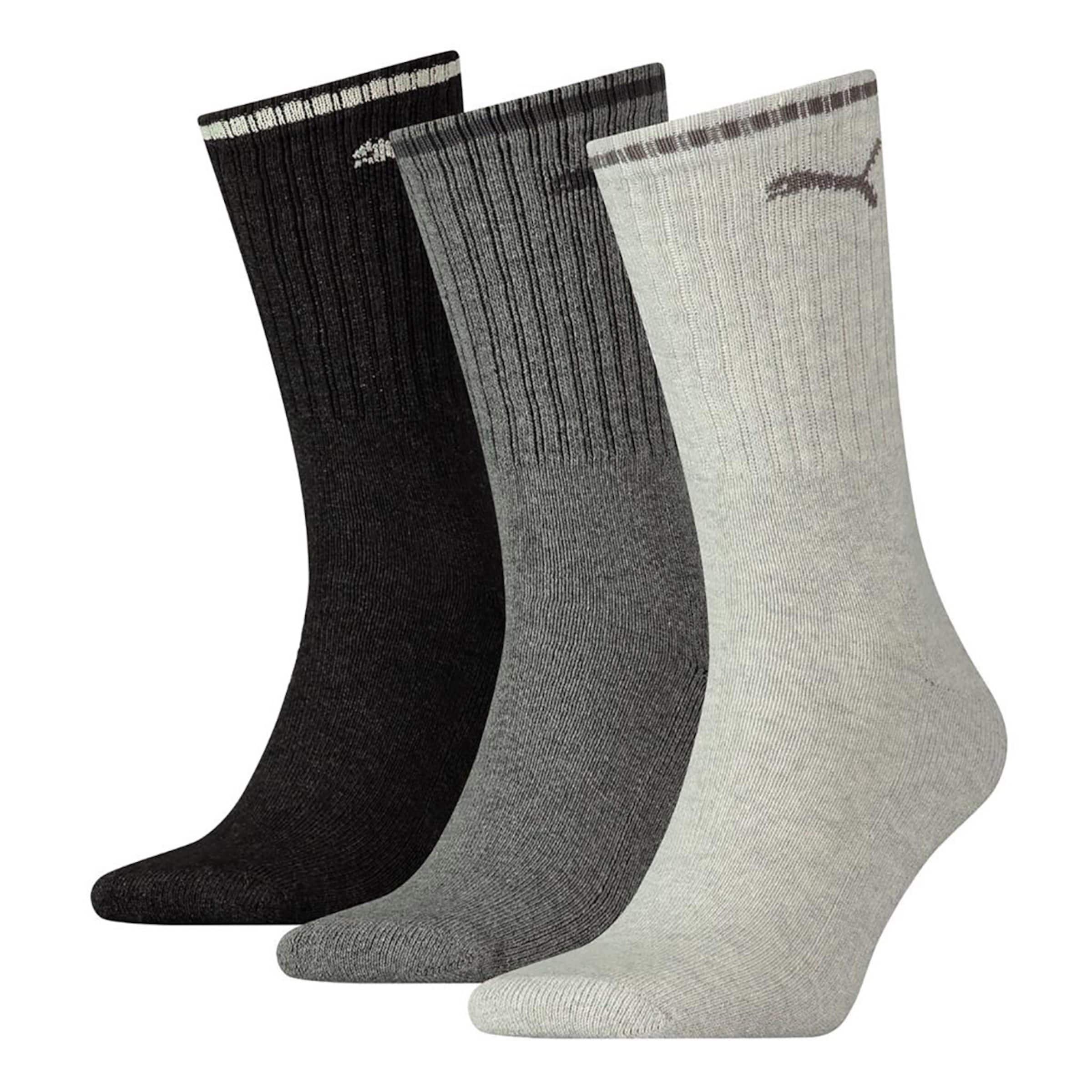 Chaussettes de sport PUMA en gris : devant