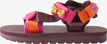 Next Sandal in Purple: front