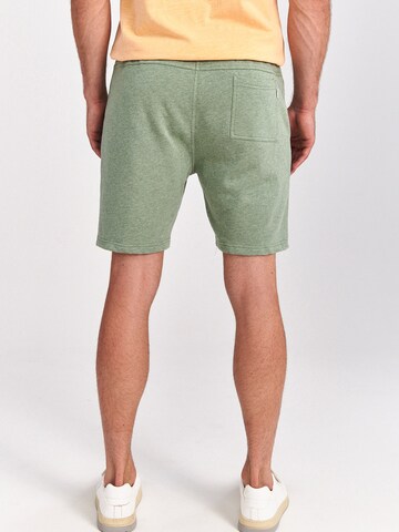 Regular Pantaloni de la Shiwi pe verde