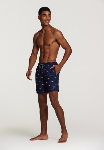 Shorts de bain Shiwi en bleu