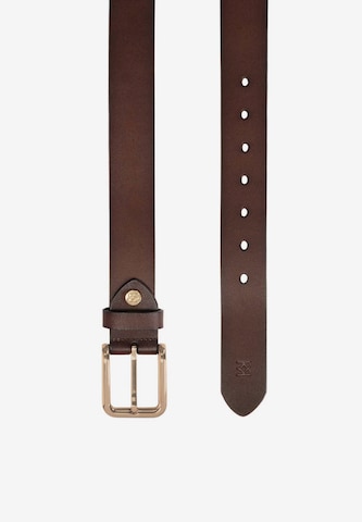 Kazar Belt in Brown