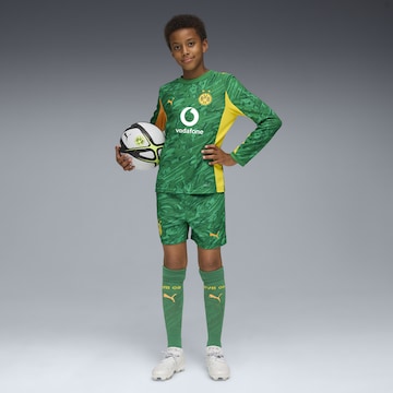 PUMA Regular Sportbroek 'Borussia Dortmund 25/26' in Groen
