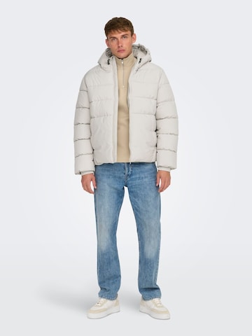 Only & Sons Winter jacket '22030170' in Beige